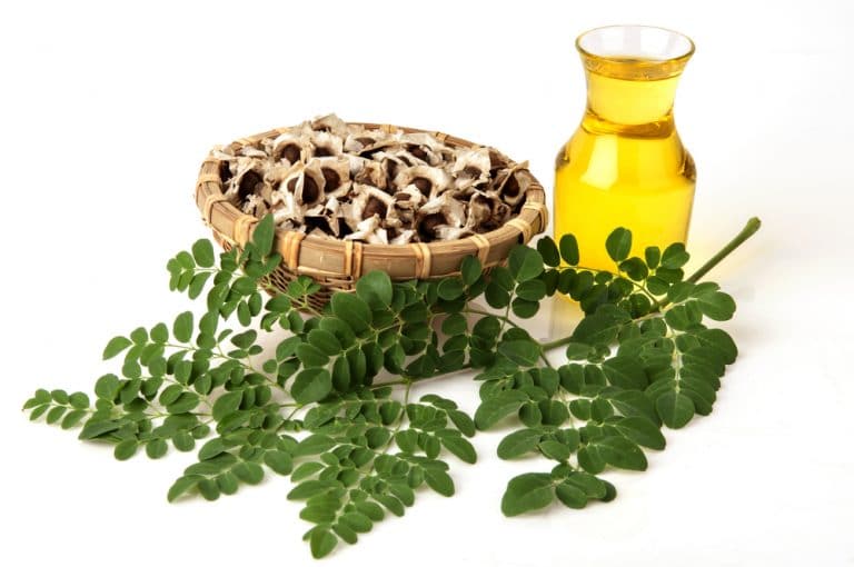 Aceso natural moringa cold pressed oil  