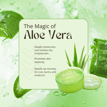 Aloe Vera Gel – Pure, Plant-Based Skin & Hair Care