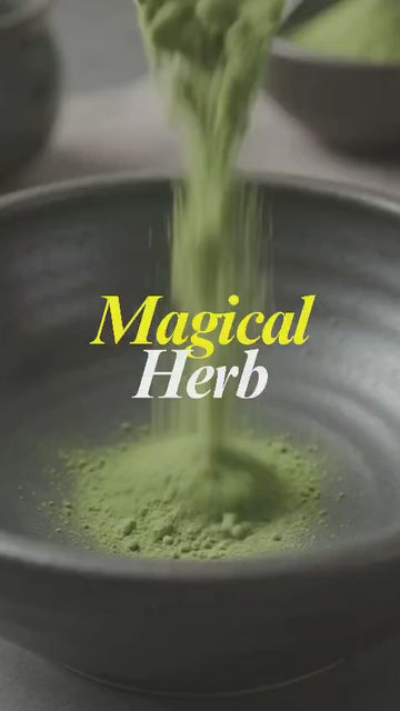 Moringa Powder