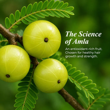 Amla Powder