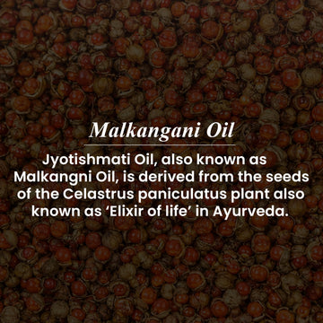 Malkangani Oil